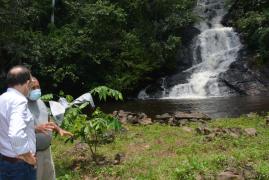 WhatsApp Image 2021-10-19 at 10.17.19.jpeg