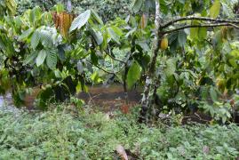 WhatsApp Image 2021-10-19 at 10.17.20.jpeg