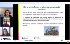 WhatsApp Image 2021-10-20 at 14.33.50.jpeg