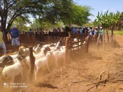 WhatsApp Image 2021-10-22 at 18.46.54.jpeg