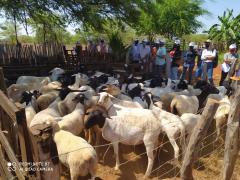 WhatsApp Image 2021-10-22 at 18.46.57 (1).jpeg