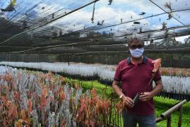 Biofábrica 22 anos - Pacote de obras (2).jpg