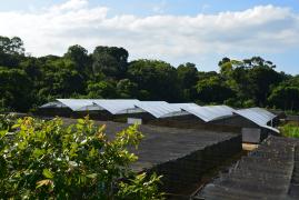 Biofábrica 22 anos - Pacote de obras (6).JPG