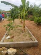 WhatsApp Image 2021-11-05 at 15.33.09.jpeg