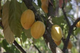 WhatsApp Image 2021-11-16 at 17.42.44.jpeg