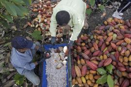 WhatsApp Image 2021-11-16 at 17.42.45 (1).jpeg