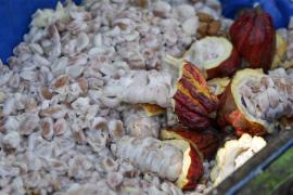 WhatsApp Image 2021-11-16 at 17.42.46 (1).jpeg