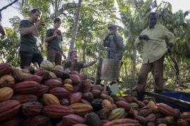 WhatsApp Image 2021-11-16 at 17.42.48 (1).jpeg