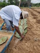 WhatsApp Image 2021-11-18 at 22.46.46 (1).jpeg