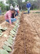 WhatsApp Image 2021-11-18 at 22.46.47.jpeg