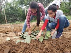 WhatsApp Image 2021-11-18 at 22.46.48 (1).jpeg