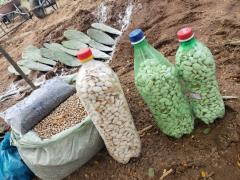 WhatsApp Image 2021-11-18 at 22.46.48.jpeg