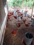 WhatsApp Image 2021-11-22 at 12.05.46.jpeg