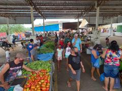 WhatsApp Image 2021-11-30 at 09.00.39.jpeg