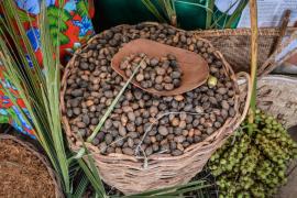 WhatsApp Image 2021-12-13 at 13.41.50.jpeg