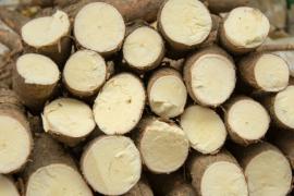 WhatsApp Image 2021-06-16 at 12.01.10 (8).jpeg