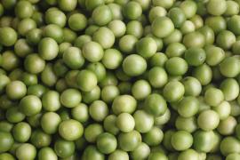 WhatsApp Image 2021-12-13 at 18.43.49.jpeg