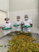 WhatsApp Image 2022-01-12 at 16.43.09.jpeg