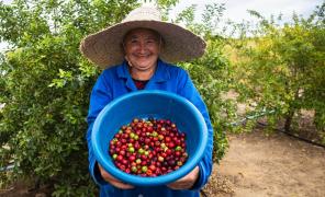 WhatsApp Image 2022-01-12 at 16.47.45.jpeg