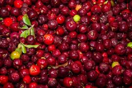 WhatsApp Image 2022-01-12 at 17.14.42.jpeg