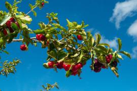 WhatsApp Image 2022-01-12 at 17.14.43.jpeg