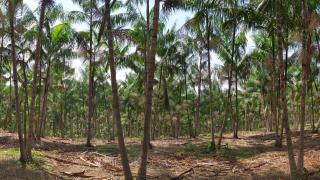 WhatsApp Image 2022-02-03 at 11.02.40 (1).jpeg