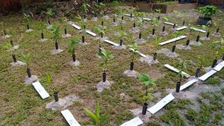 WhatsApp Image 2022-02-03 at 11.02.40.jpeg