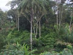 WhatsApp Image 2022-02-03 at 15.22.13 (2).jpeg