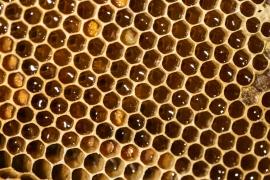 WhatsApp Image 2022-02-04 at 14.42.28.jpeg