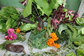 WhatsApp Image 2022-02-07 at 16.52.45 (3).jpeg