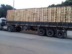 WhatsApp Image 2022-02-10 at 11.33.36 (1).jpeg