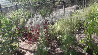 WhatsApp Image 2022-02-10 at 19.42.14 (1).jpeg