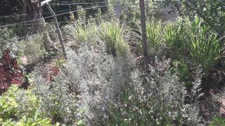 WhatsApp Image 2022-02-10 at 19.42.14.jpeg