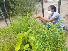 WhatsApp Image 2022-02-10 at 19.42.15 (2).jpeg