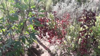 WhatsApp Image 2022-02-10 at 19.42.15.jpeg