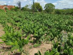 WhatsApp Image 2022-02-11 at 16.50.15 (3).jpeg