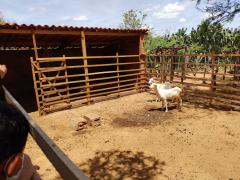 WhatsApp Image 2022-02-11 at 16.50.15 (4).jpeg