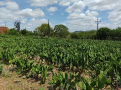 WhatsApp Image 2022-02-11 at 16.50.16.jpeg