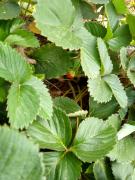 WhatsApp Image 2022-02-15 at 17.23.18 (2).jpeg