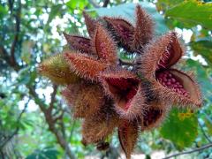 WhatsApp Image 2022-02-15 at 17.23.18.jpeg