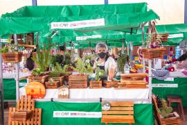 WhatsApp Image 2022-02-17 at 09.13.06 (1).jpeg