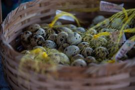 WhatsApp Image 2022-02-17 at 09.13.07.jpeg