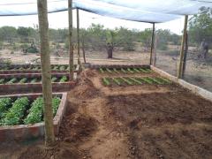 WhatsApp Image 2022-02-22 at 17.12.50.jpeg