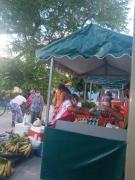 WhatsApp Image 2022-02-23 at 12.27.28.jpeg