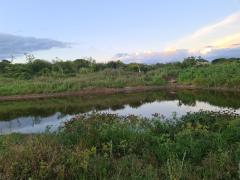 Investimentos do Governo do Estado garantem o acesso à água para a produção de agricultores familiares (4).jpeg