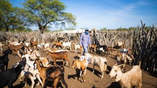 Pró-semiário_Novembro_2021_by_Barong (34).jpg