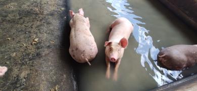 WhatsApp Image 2022-03-11 at 14.59.31 (1).jpeg