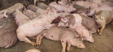 WhatsApp Image 2022-03-11 at 14.59.32 (2).jpeg