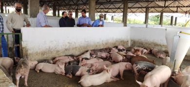 WhatsApp Image 2022-03-11 at 14.59.33.jpeg