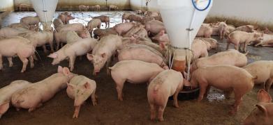 WhatsApp Image 2022-03-11 at 14.59.36 (1).jpeg